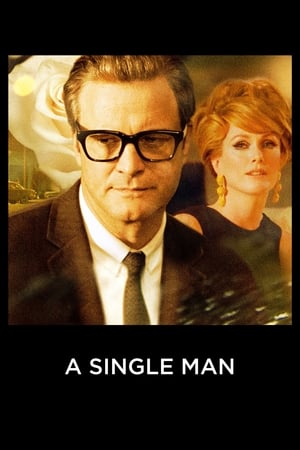 A Single Man 2009 Dual Audio Hindi | Hindi Dubbed Movie BluRay [750MB] ESubs