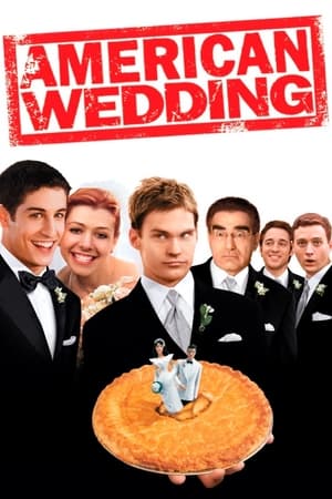 American Wedding (2003) Hindi Dual Audio | Hindi Dubbed Movie BluRay [850MB]