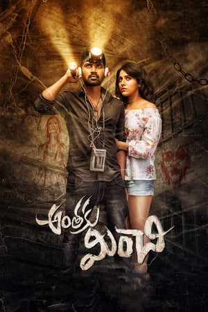 Anthaku Minchi (2018) Hindi Dubbed | Hindi Dubbed Movie HDRip 300MB