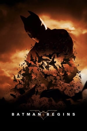 Batman Begins (2005) Hindi Dual Audio Bluray | Hindi Dubbed Movie [980MB] Download