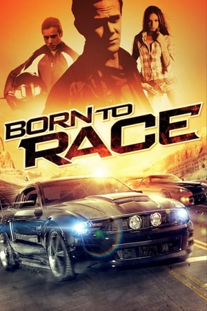 Born to Race 2011 Hindi Dual Audio | Hindi Dubbed Movie BluRay [610MB]
