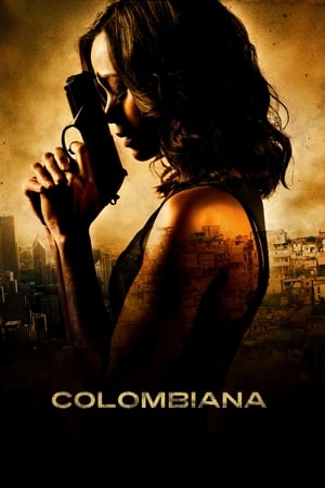 Colombiana (2011) Hindi Dual Audio | Hindi Dubbed Movie BluRay 350MB