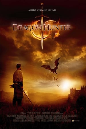 Dragon Hunter (2009) Hindi Dual Audio | Hindi Dubbed Movie BluRay [1GB]