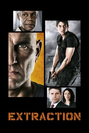 Extraction 2013 Hindi Dual Audio | Hindi Dubbed Movie WebRip [1.4GB]
