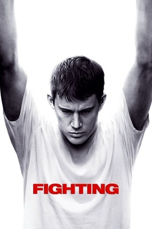 Fighting (2009) Hindi Dual Audio | Hindi Dubbed Movie BluRay [1.1GB]