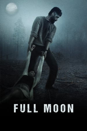 Full Moon 2023 Punjabi HDRip | Hindi Dubbed Movie – 480p