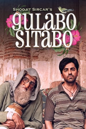 Gulabo Sitabo 2020 Hindi Movie | Hindi Dubbed Movie HDRip - [360MB]