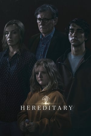 Hereditary 2018 Hindi Dual Audio HDRip | Hindi Dubbed Movie – 480p
