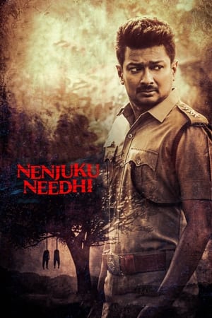 Nenjuku Needhi 2022 Hindi (HQ-Dub) HDRip | Hindi Dubbed Movie – 480p