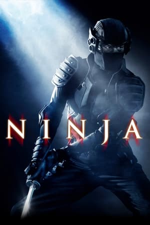 Ninja (2009) Hindi Dual Audio HDRip | Hindi Dubbed Movie – 480p
