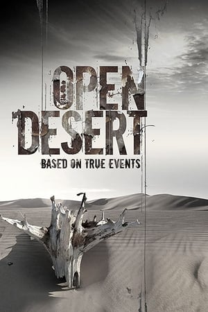 Open Desert (2013) Hindi Dual Audio HDRip | Hindi Dubbed Movie – 480p