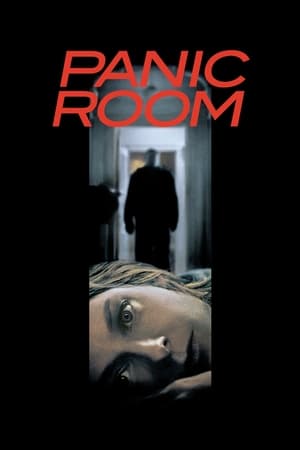 Panic Room (2002) Hindi Dual Audio | Hindi Dubbed Movie BluRay [1GB] ESubs