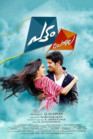 Pattam Pole (2013) (Hindi – Malayalam) Dual Audio | Hindi Dubbed Movie UnCut HDRip [1.2GB]