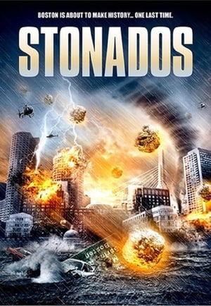 Stonados (2013) Hindi Dual Audio | Hindi Dubbed Movie BluRay [840MB]
