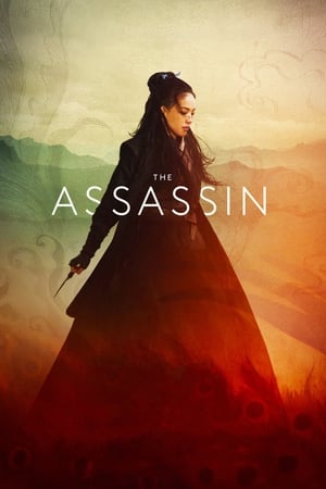 The Assassin 2015 Hindi Dual Audio | Hindi Dubbed Movie BluRay [1.1GB]