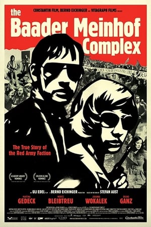 The Baader Meinhof Complex (2008) Hindi Dual Audio | Hindi Dubbed Movie HDRip 500MB