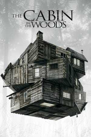 The Cabin in the Woods 2012 Dual Audio Hindi | Hindi Dubbed Movie BluRay 300MB ESubs