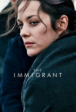 The Immigrant (2013) Hindi Dual Audio | Hindi Dubbed Movie BluRay 300MB