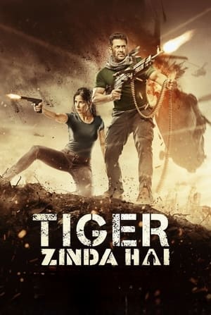 Tiger Zinda Hai 2017 Hindi Movie BluRay | Hindi Dubbed Movie Hevc [700MB]