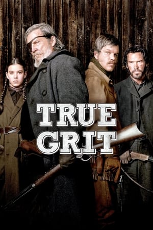 True Grit (2010) Hindi Dual Audio | Hindi Dubbed Movie BluRay [950MB]