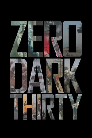 Zero Dark Thirty 2012 Hindi Dual Audio | Hindi Dubbed Movie BluRay [1.2GB]